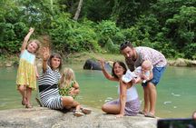 Phuket Elephant Sanctuary Observation and Cooking Class