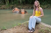 Phuket Elephant Sanctuary Observation and Cooking Class