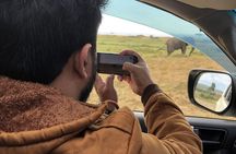 Nairobi to Masai Mara and Masai Village Day Trip