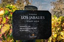 Visit Salentein Winery + Lunch at The Vines Transfer included