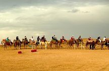 Majestic Agafay Exclusive Desert Experience