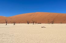 2 Days Sossusvlei Budget Guided