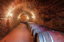 Radda in Chianti: Wine Tasting Tour with lunch at the Winery