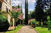 Radda in Chianti: Wine Tasting, Cellar Tour & Tuscan Lunch