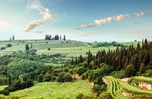Radda in Chianti: Wine Tasting, Cellar Tour & Tuscan Lunch