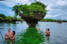 Safari Blue Full day Tour