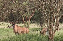 Discover Bandia Safari and The Lagoon of Somone
