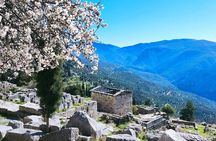 Delphi the Ancient Greek Oracle