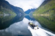 Ulvik scenic RIB adventure tour to Osafjord