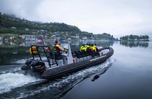 Scenic Hardangerfjord & Fyksesund RIB adventure from Norheimsund