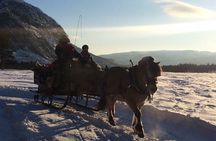 Sleigh ride Under The Northern Lights 