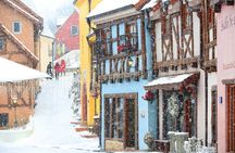 Nami Island and Petite France & Italian Village Day Trip from Seoul