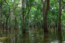 Exploring the Enchanting Kampong Phluk Floating Village