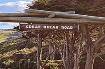 Ocean Road Private Tour from Melbourne