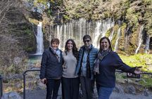 Mt. Fuji Area Private Tour from Shizuoka Station / Sedan Taxi