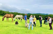 Pasture Hike with Horse Whisperer at Horse Trust in Kagoshima