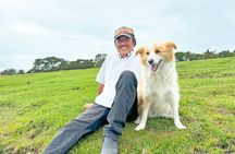 Pasture Hike with Horse Whisperer at Horse Trust in Kagoshima