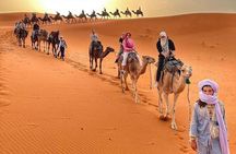 Private Morocco Tour By Imperial Cities And South Desert 10Days