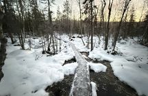 Rovaniemi Vikaköngäs Sightseeing & Photography Tour