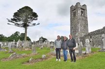 Dublin Full-Day Tour through Boyne Valley