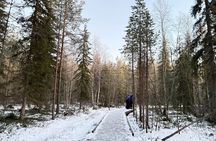 Rovaniemi Vikaköngäs Sightseeing & Photography Tour