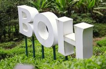 Cameron Highlands Day Tour from Ipoh with Mossy Forest