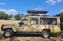 5-Day Tanzania Safari and Scenic Tour