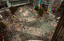 Dynamic Tokyo Private Custom Walking Tour