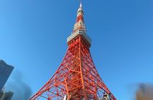 Dynamic Tokyo Private Custom Walking Tour