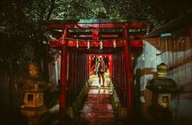 Dynamic Tokyo Private Custom Walking Tour