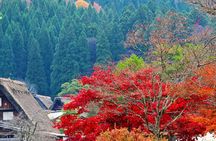 Shirakawago, Gujo Hachiman and Hida Takayama Day Tour