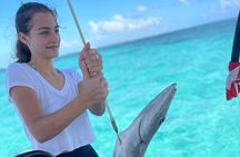 San Pedro: Reef Fishing and BBQ Catch Adventure