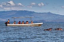 A Day to Nakuru National Park and Lake Naivasha Boat Ride