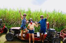 Buggy Tour from Bayahibe Group 10