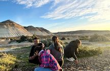 Tour South Circuit- Best of Puerto Madryn in 4 hours 