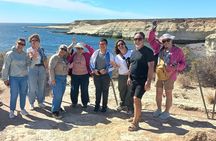 Tour South Circuit- Best of Puerto Madryn in 4 hours 