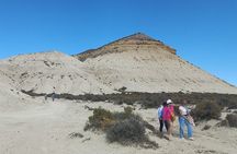 Tour South Circuit- Best of Puerto Madryn in 4 hours 