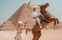 Vip Horse Dancing Horseshow in Pyramid with Photographer