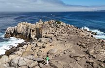 Monterey, Carmel, 17 Mile Dr, Big Sur & Mcway Falls PrivateTour