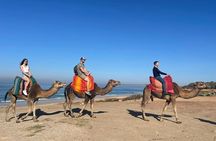 Tangier : Guided City Tour Around Main Points of Interest