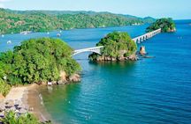 Whale watching + cay raised from Punta Cana