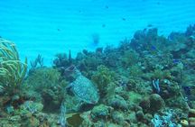 Private Animals Sanctuary Beach Snorkeling Adventure
