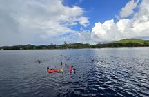 Private Animals Sanctuary Beach Snorkeling Adventure