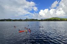 Private Animals Sanctuary Beach Snorkeling Adventure