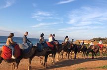 Full Day Private Tangier Tour From Tarifa All Inclusive