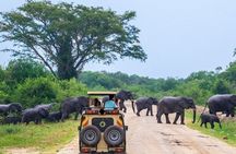 2 Days Murchison Falls Park Vacation