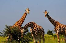 2 Days Murchison Falls Park Vacation