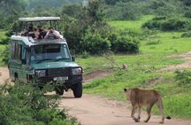 2 Days Murchison Falls Park Vacation