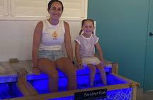 Fish Spa – 20 Minute Session in Surfers Paradise!