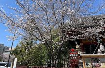 Goshuin Collecting tour at Asakusa Local Temples & Shrines, Tokyo
